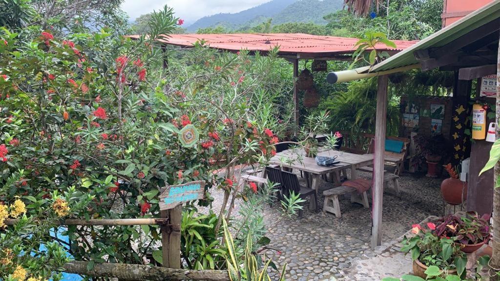 Posada Villa Margarita Los Naranjos Exterior foto