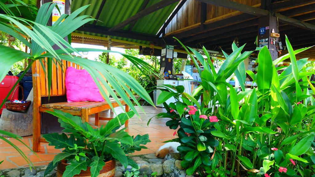 Posada Villa Margarita Los Naranjos Exterior foto